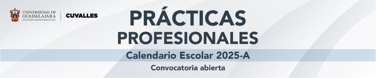 Prácticas Profesionales 2025 A 