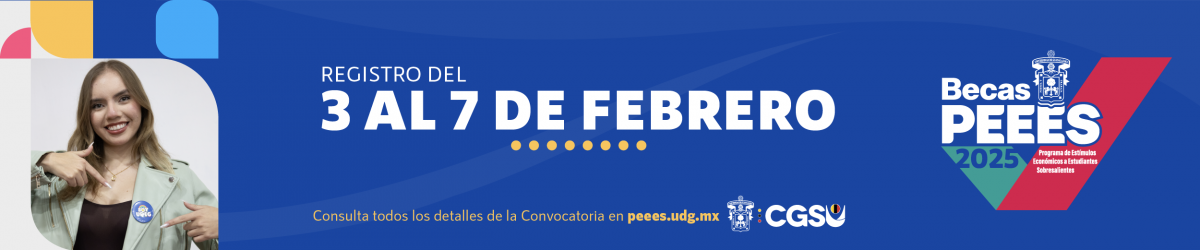 Becas PEEES 2025 