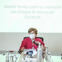 Instalación del Comité Técnico sobre las Violencias con Enfoque de Género del CUValles